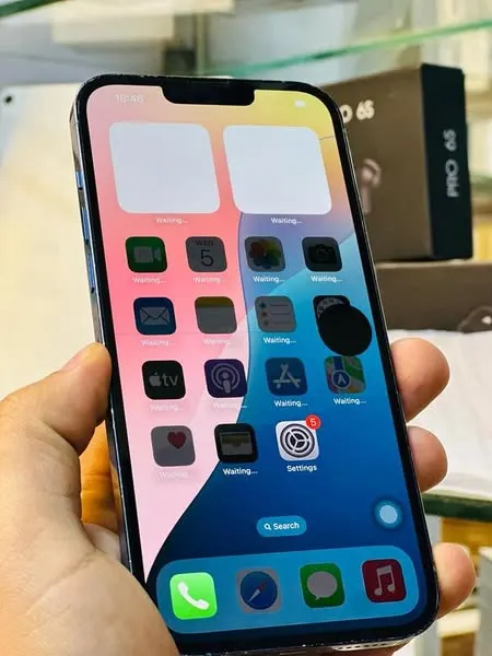 iPhone 13 Pro Max (2)