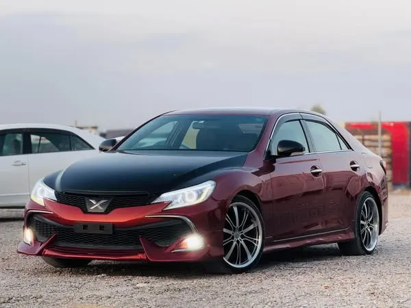 Toyota Mark X 2010 (1)