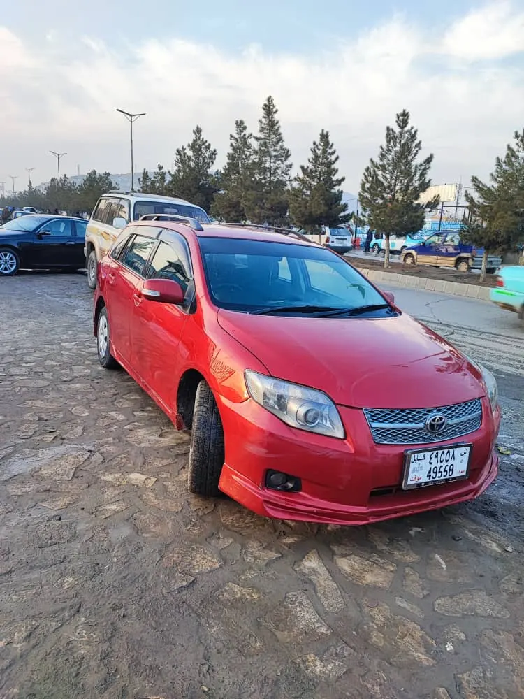 Toyota Fielder 2007 (1)