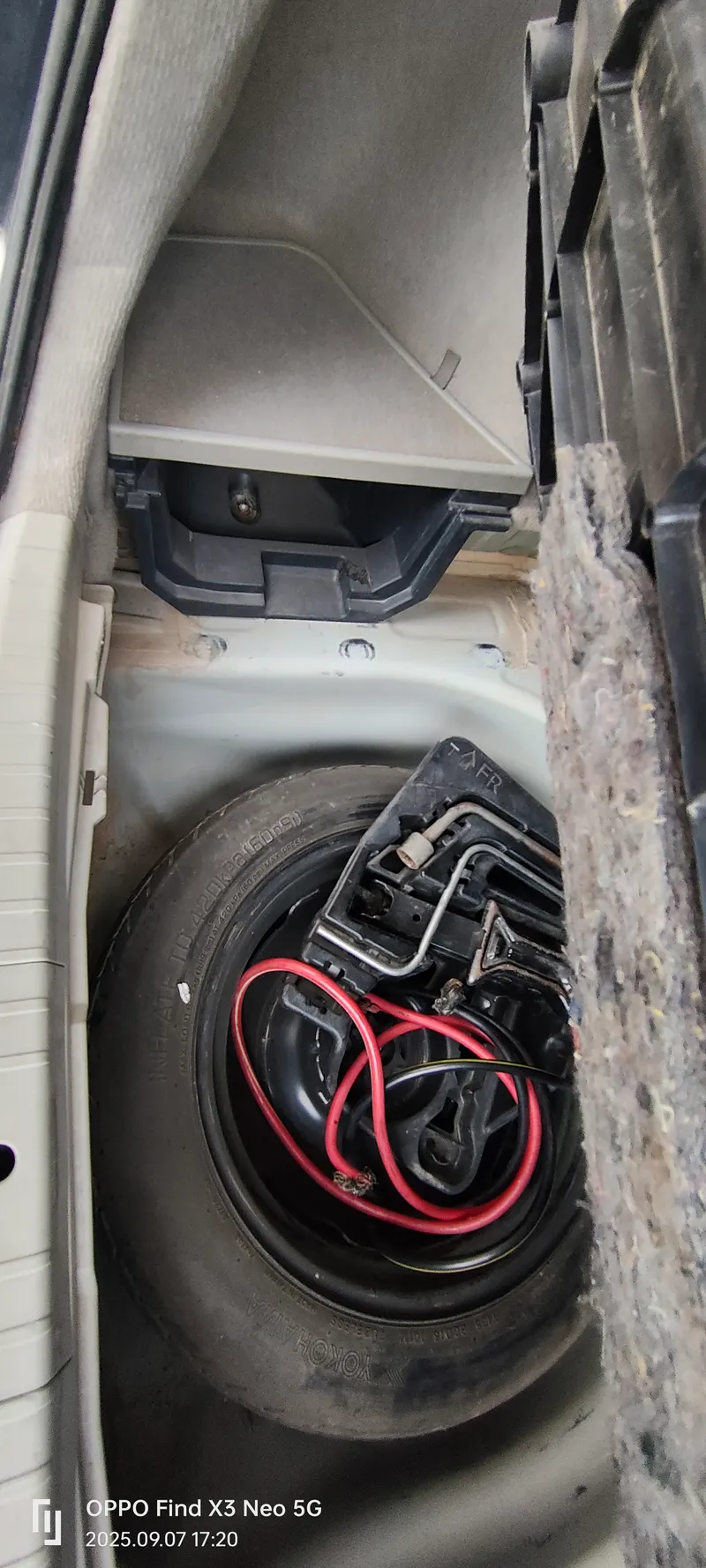 Model 2010 (3)
