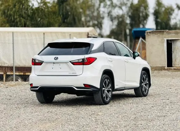 Lexus 2023 (3)