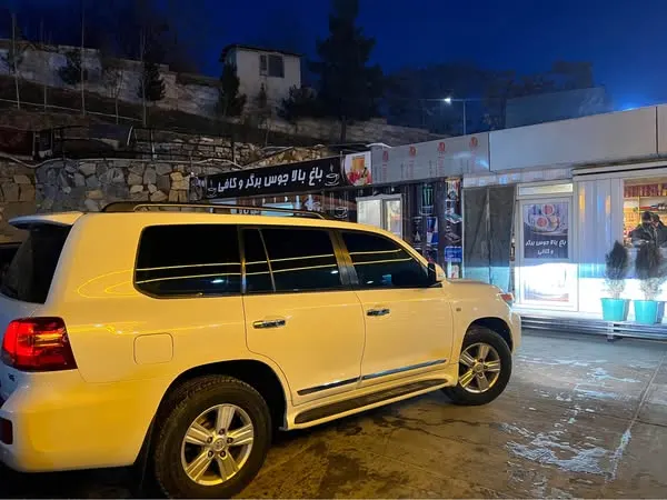 Toyota Land Cruiser 2010 (4)