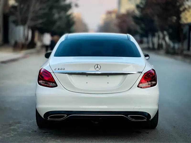 Mercedes-Benz 2015 (2)