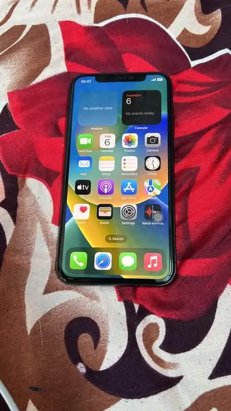 iPhone X (1)