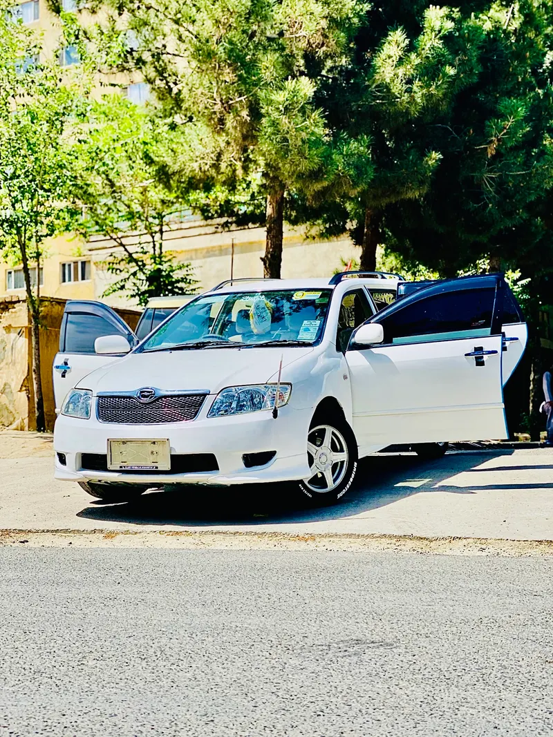 Toyota Fielder 2005 (2)
