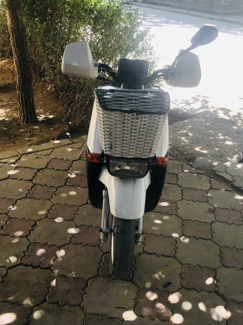 Motorcycle 60cc (2)