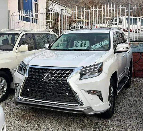 Lexus 2010 (1)