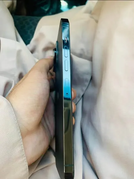 iPhone 13 Pro Max (2)