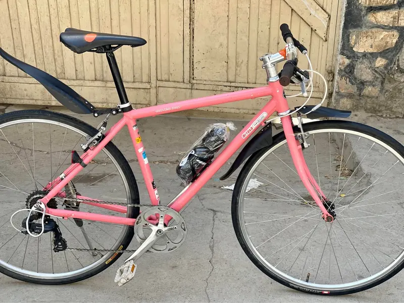 Bicycle For Sale (2)