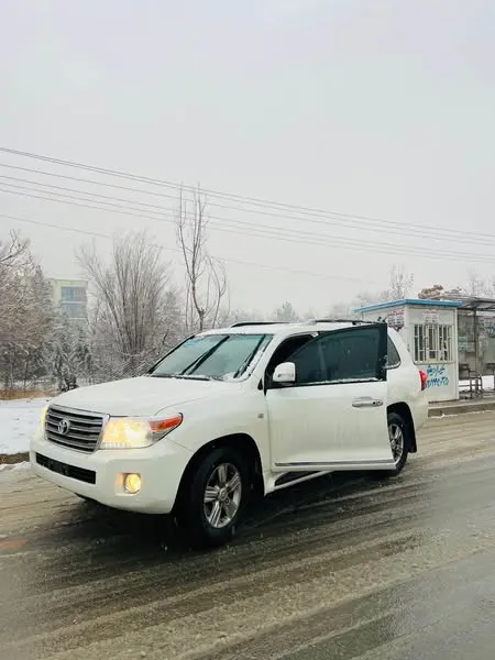 Toyota Land Cruiser 2010 (2)