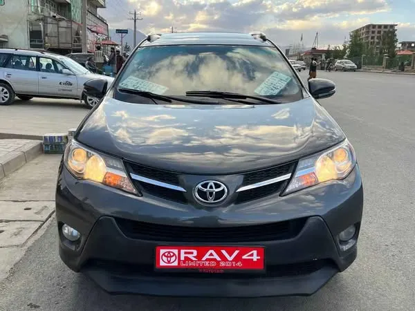 Toyota RAV4 Limited 2013 (1)