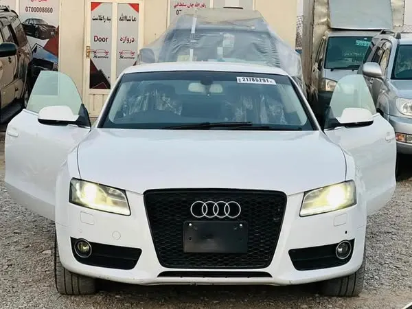 Audi 2010 (1)