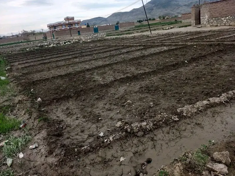 7 Biswa Land for Sale in Charasiab, Kabul (1)