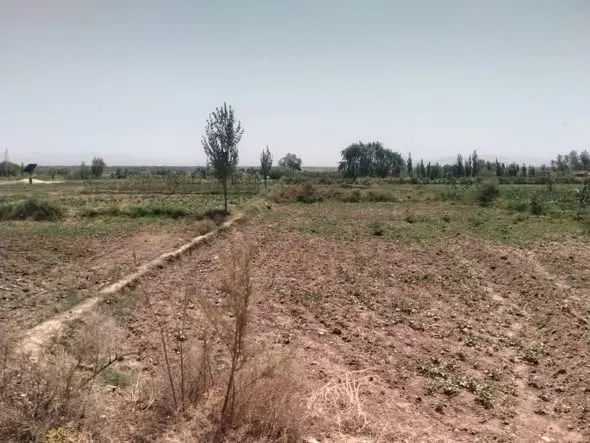 زمین زراعتی برای فروش، 10 جریب، با چاه و سولر، پل سوا، هرات (2)