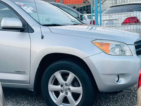 Toyota RAV4 2008 (2)