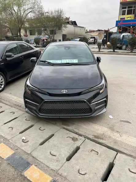 Toyota 2020 (1)
