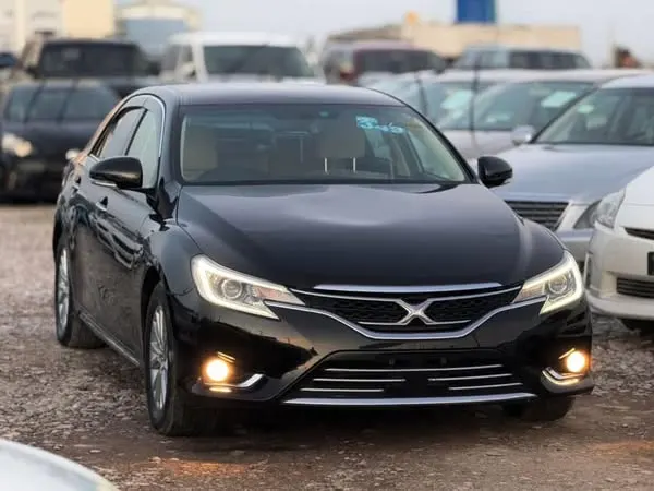 Toyota Mark X Premium 2012 (2)