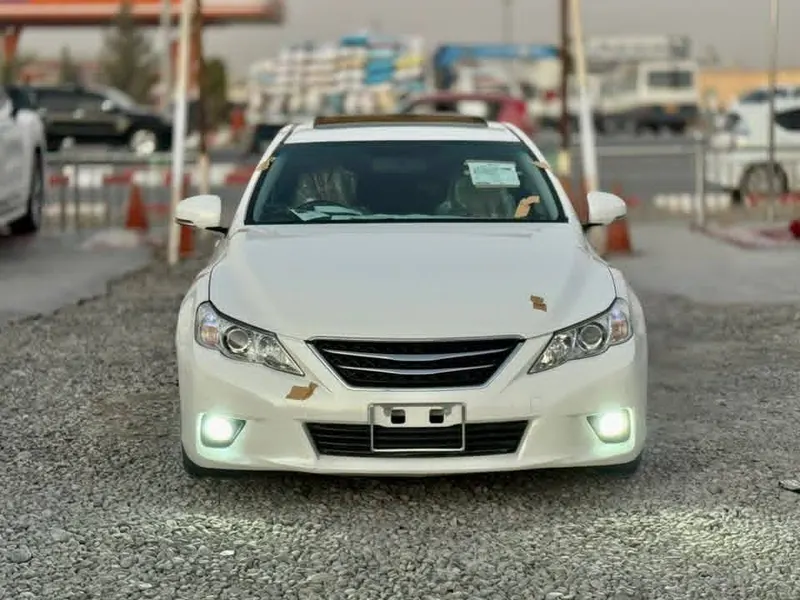 Toyota Mark X 2010 (1)
