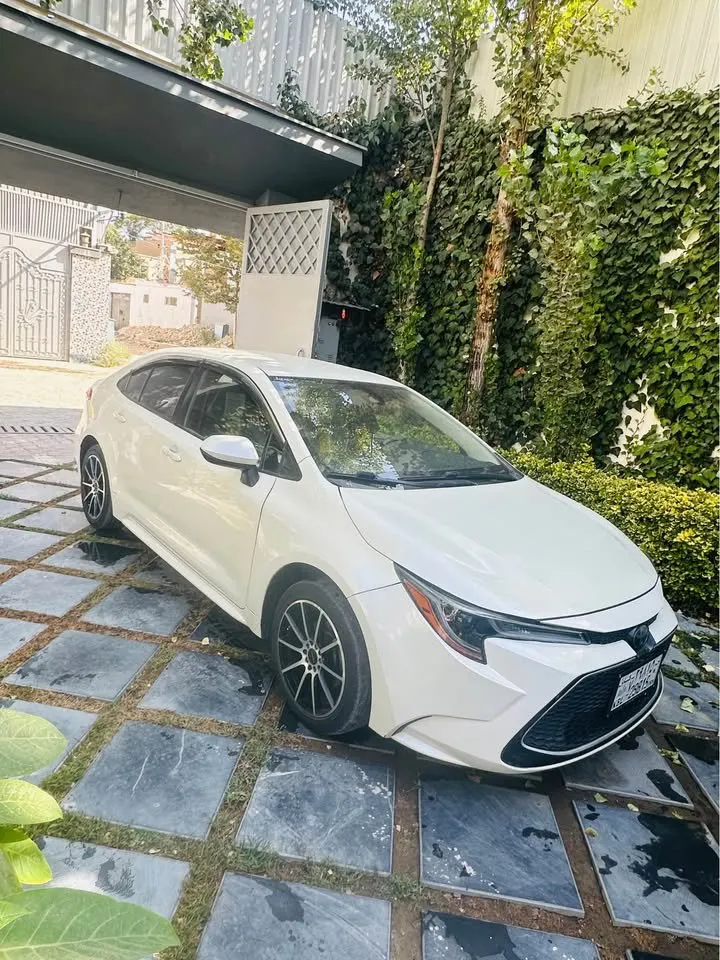 Toyota Corolla LE 2020 (1)