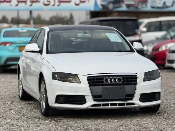 Audi 2010 (2)