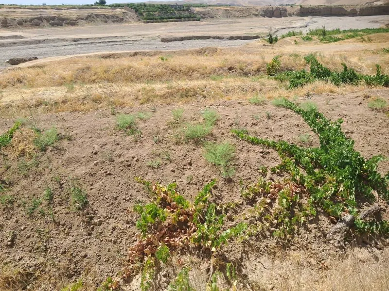 Riverside land for sale, 1000 m², Kohi village, Qaisar, Faryab (4)
