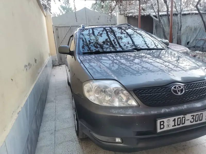 Toyota Fielder 2004 (3)