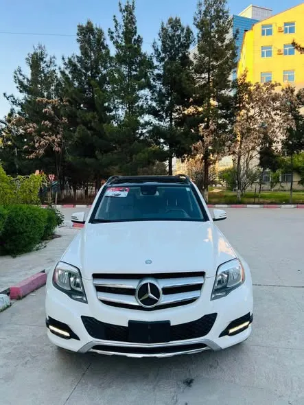 Mercedes-Benz 2014 (2)