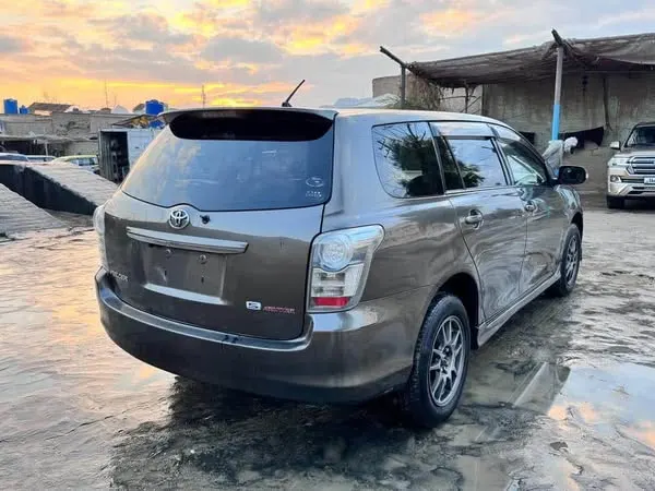 Toyota Fielder 2009 (3)