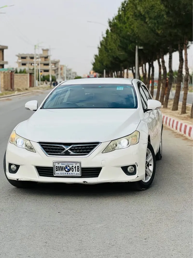 Toyota Mark X 2010 (1)