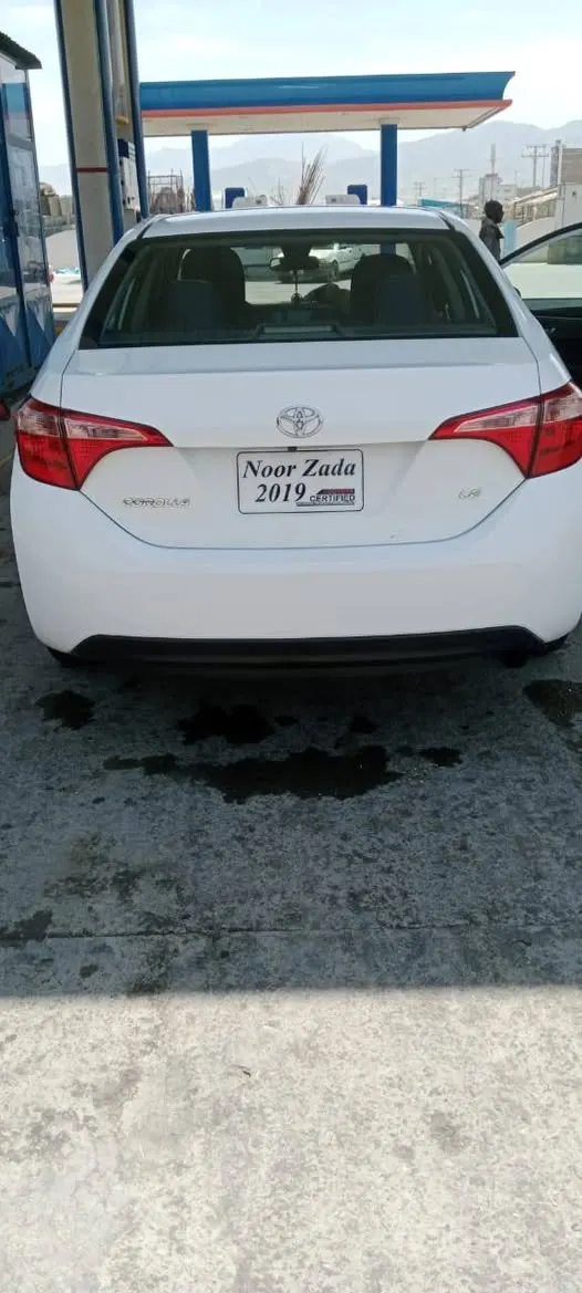 Toyota 2019 (3)