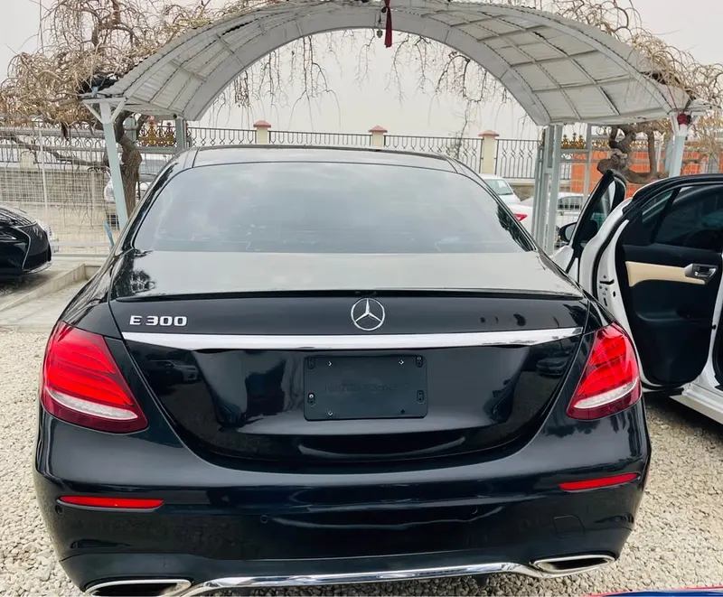 Mercedes-Benz 2017 (3)