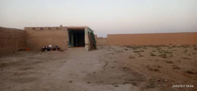 دو خانه برای فروش، اسقلان، کندز (3)