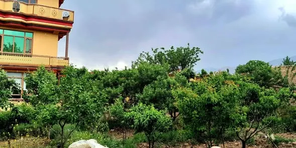 3-storey house with garden and vineyard for sale, Haji Bakhshi, Shakardara, Kabul (2)