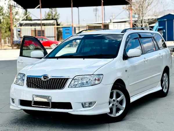 Toyota Fielder 2005 (1)