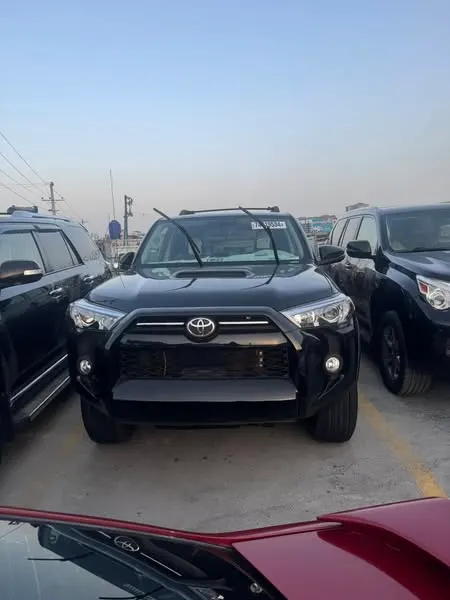 Toyota 2010 (1)