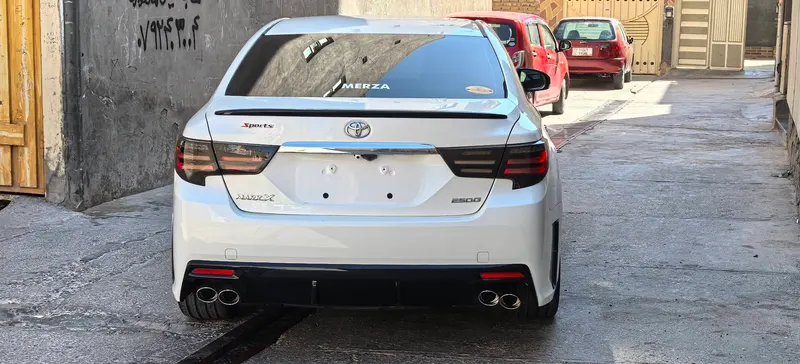 Toyota Mark X 2010 (2)