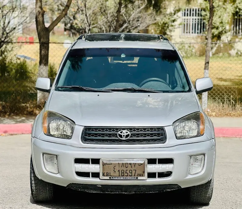 Toyota RAV4 2001 (1)