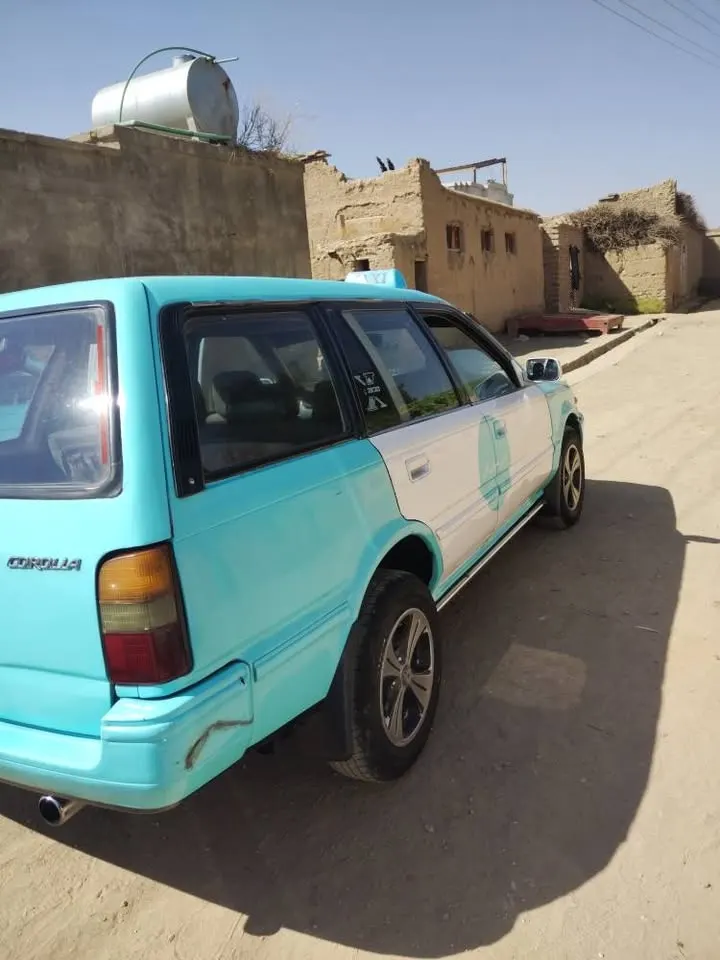 Saracha Taxi (3)