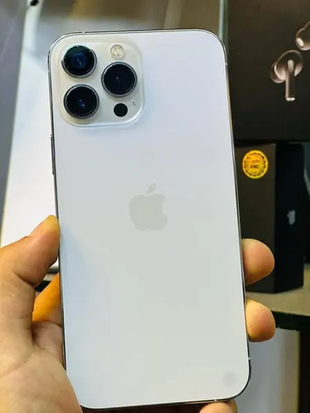 iPhone 13 Pro Max (1)