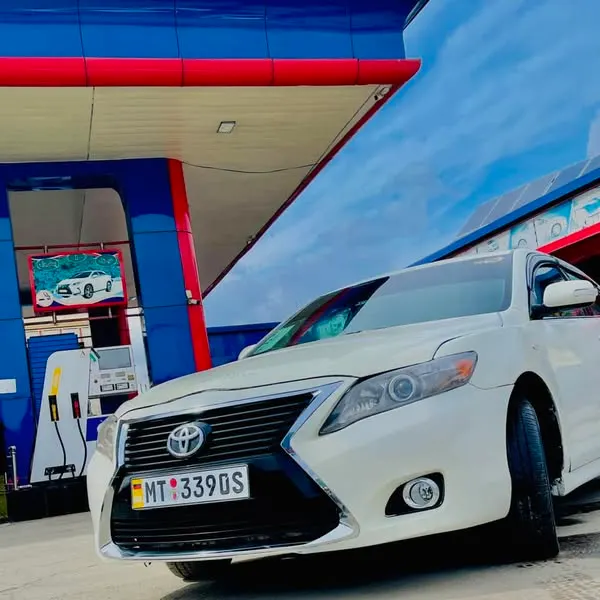 Toyota Camry Sedan 2010 (2)
