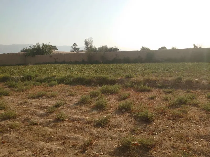 Land for sale, 1400 m², Khasa Paz village, Mazar-i-Sharif (1)
