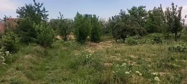 Farm land for sale, 1 jerib, Shakardara, Kabul (1)