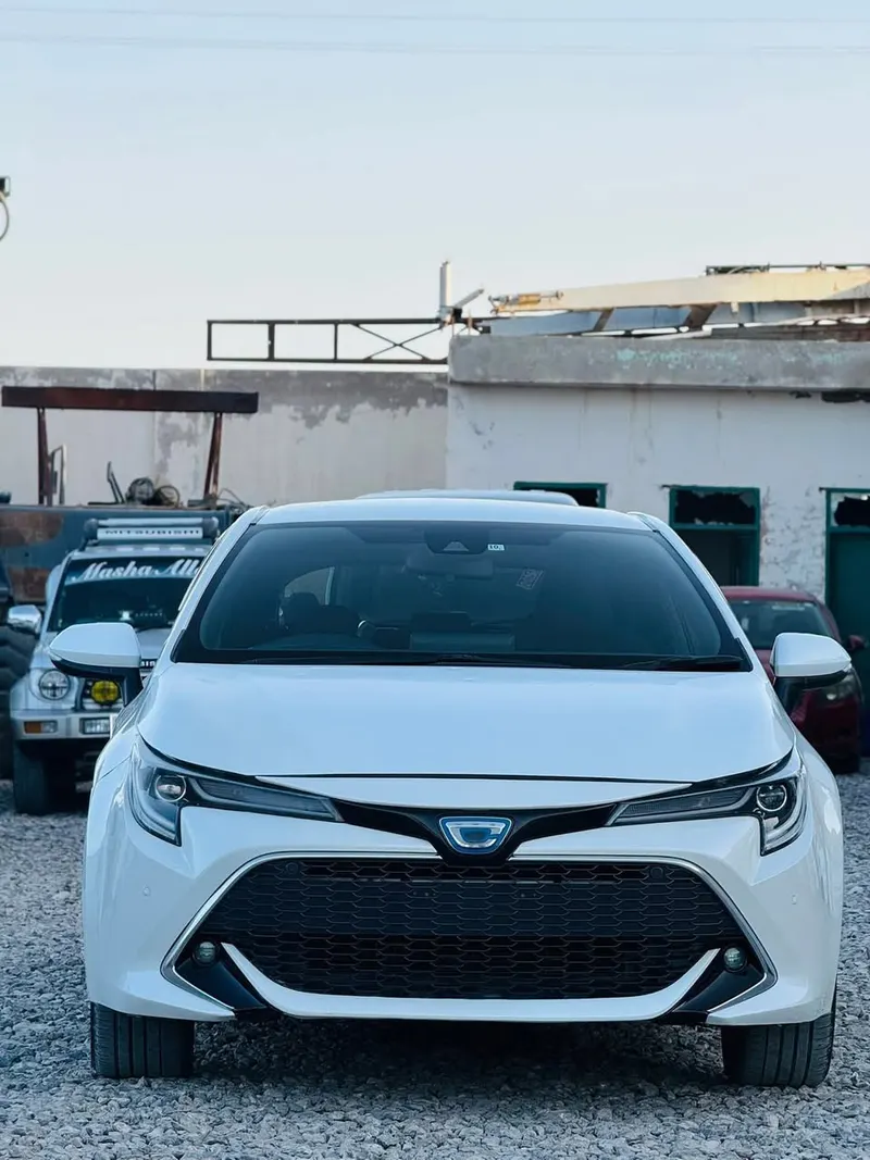 Toyota 2020 (2)