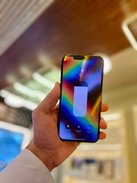 iPhone 12 Pro Max (2)