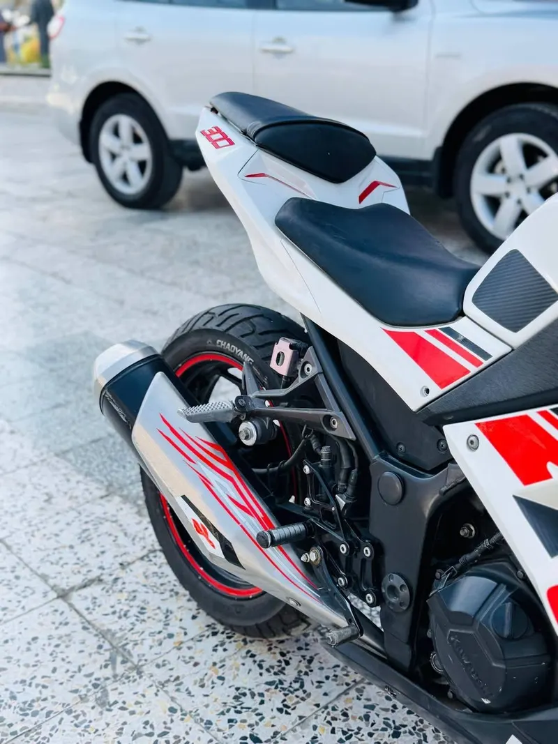 Kawasaki Ninja 300 2019 (5)