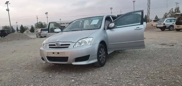 Toyota Corolla Runx 2005 (1)
