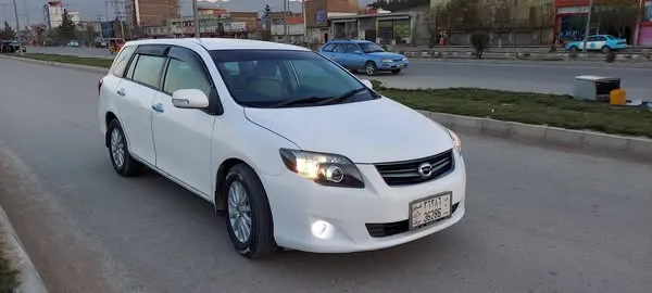 Toyota Fielder 2006 (1)