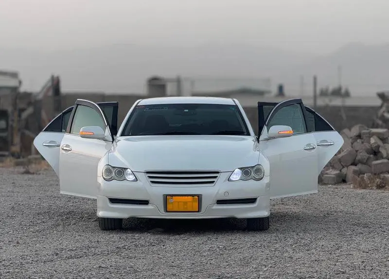 Toyota Mark X 2007 (1)