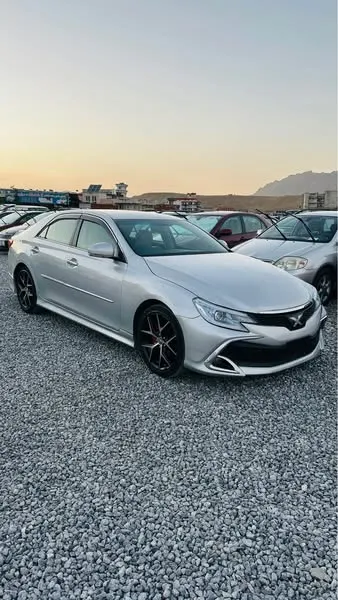 Toyota Mark X 2010 (2)