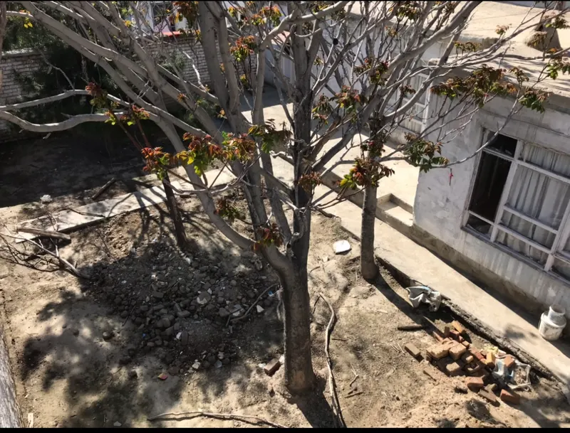 Old house for sale, 2 rooms, 2.5 biswa, Shahid Hangara Square (3)